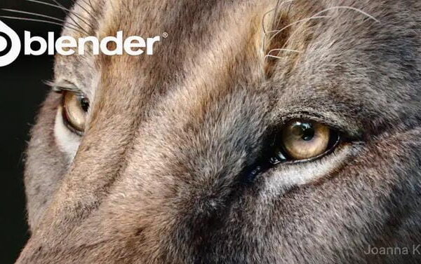 Blender LTS